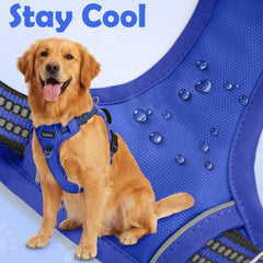 Funfox dog harness close-up showing its breathable mesh lining.