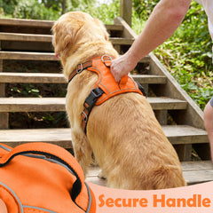 Funfox dog harness close-up of the breathable mesh lining and plush padding.