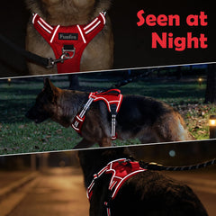 Funfox dog harness worn by a dog.