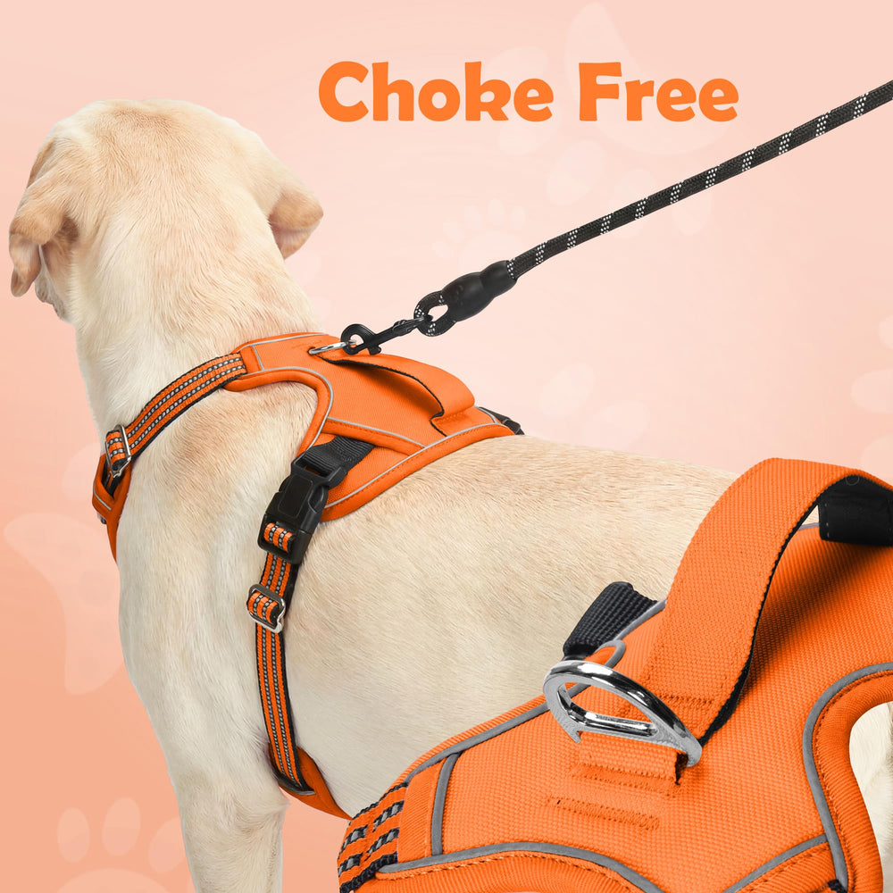 Funfox dog harness showing reflective strips across the front, sides, and back.