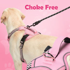 Funfox dog harness reflective strips across the front, sides and back.