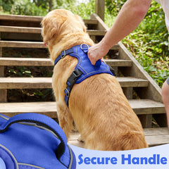 Funfox dog harness showing reflective strips across the front, sides, and back.