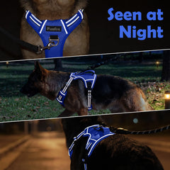 Funfox dog harness close-up showing the vertical control handle.