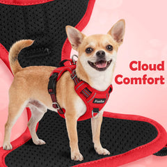 Funfox dog harness showing the vertical control handle.