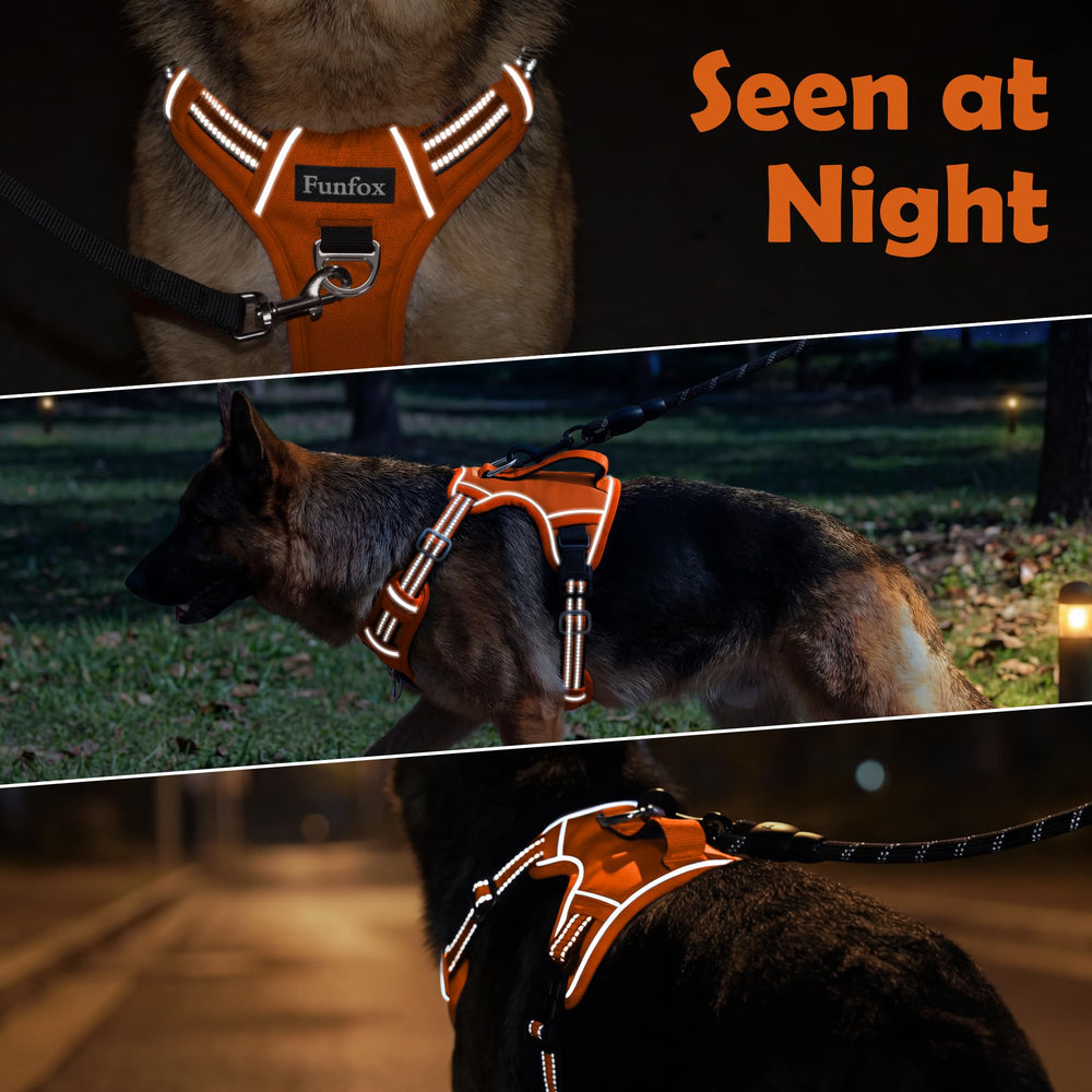 Funfox dog harness shown being worn by a dog.