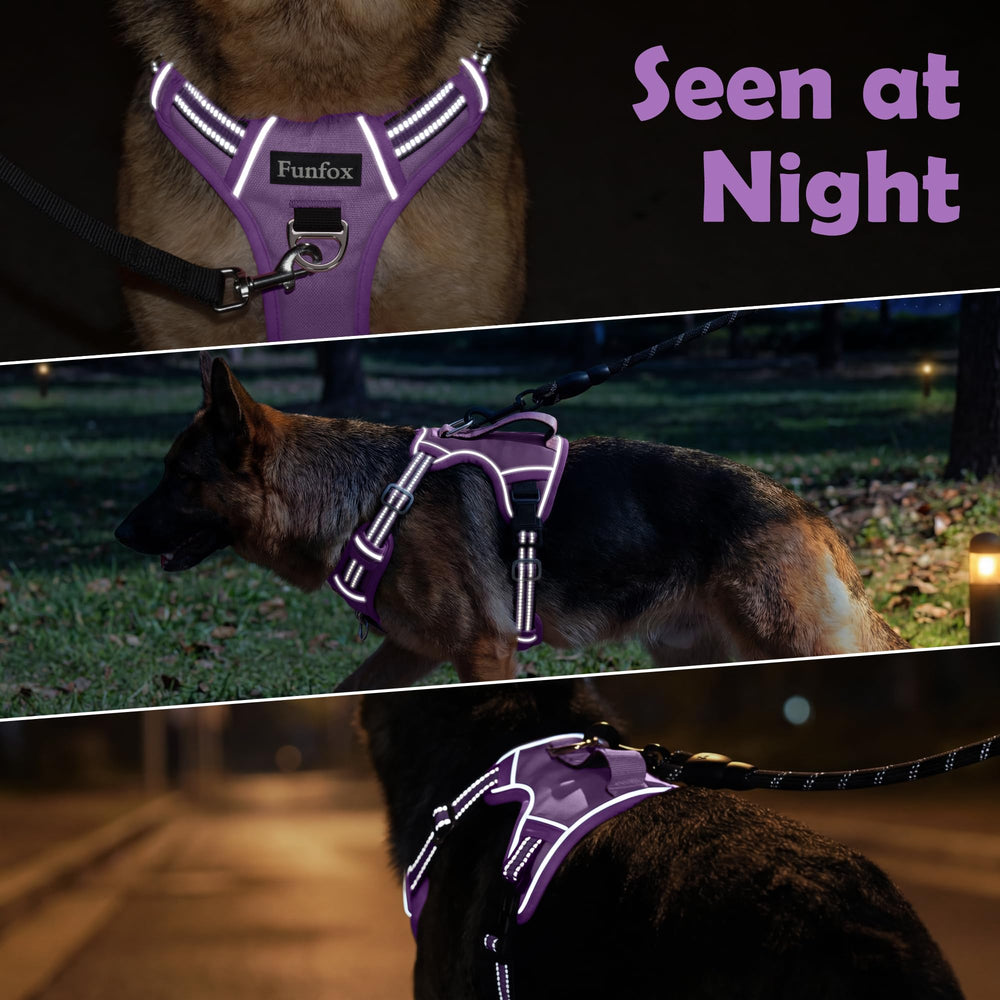 Funfox dog harness fitted on a dog for a walk.