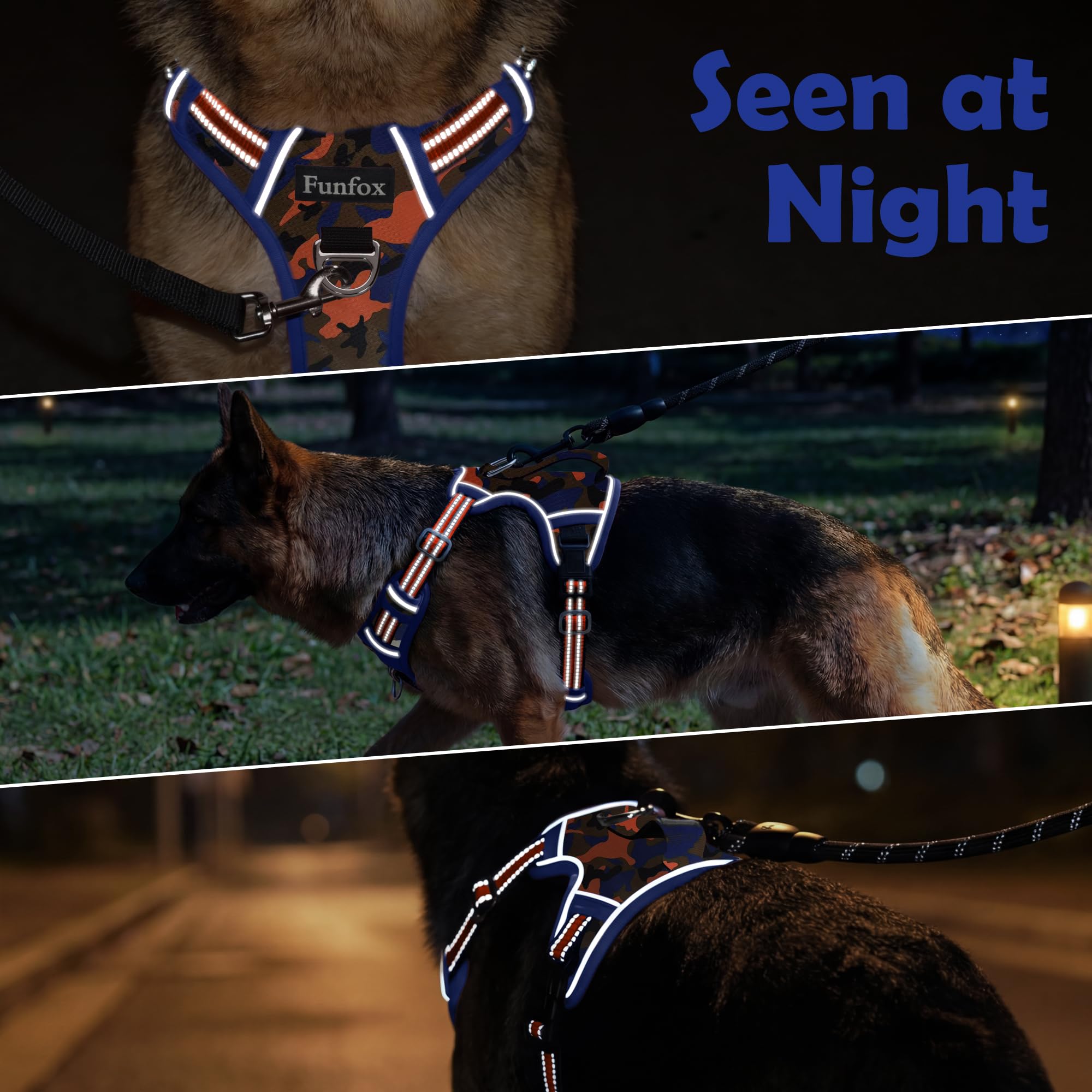 Funfox dog harness shown fitted on a dog.