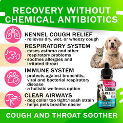 FurFinds Kennel Cough Drops bottle shown in a close-up product detail.
