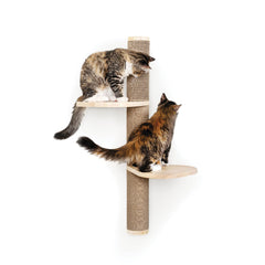 Furhaven Sunrise Steps cat wall system shown from the front.