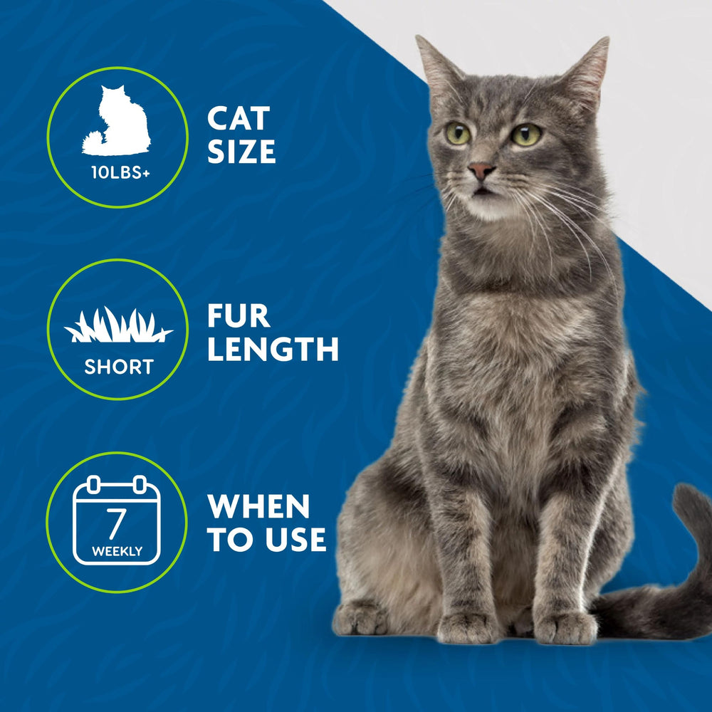 FURminator cat deShedding tool shown grooming a short-haired cat.