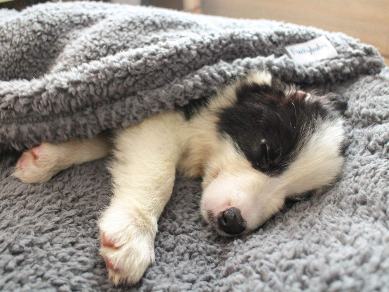 The furrybaby Pet Blanket rolled for carrying on an outdoor outing.