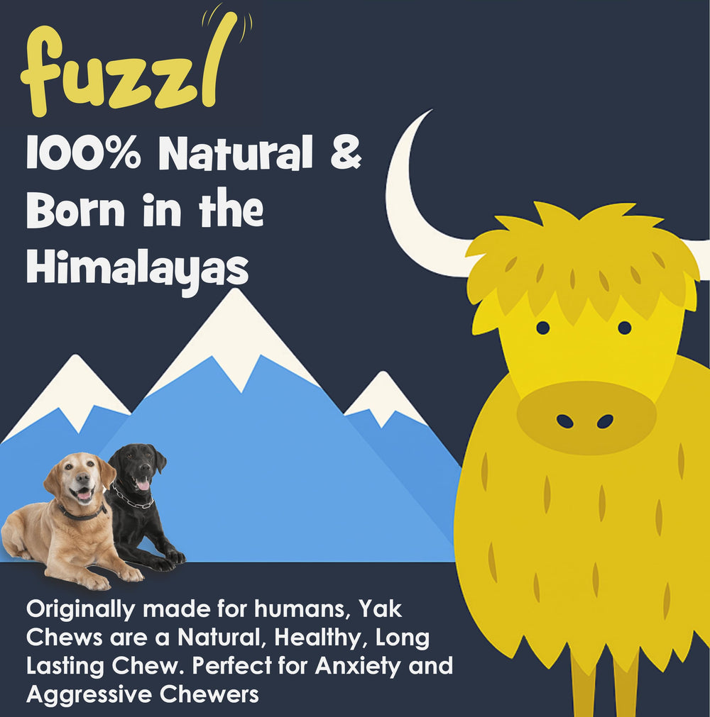 Fuzzl blueberry yak chew shown as one flavour in the mixed pack.