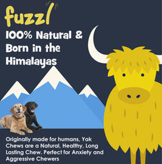 Close-up of the dense texture of a Fuzzl yak chew.