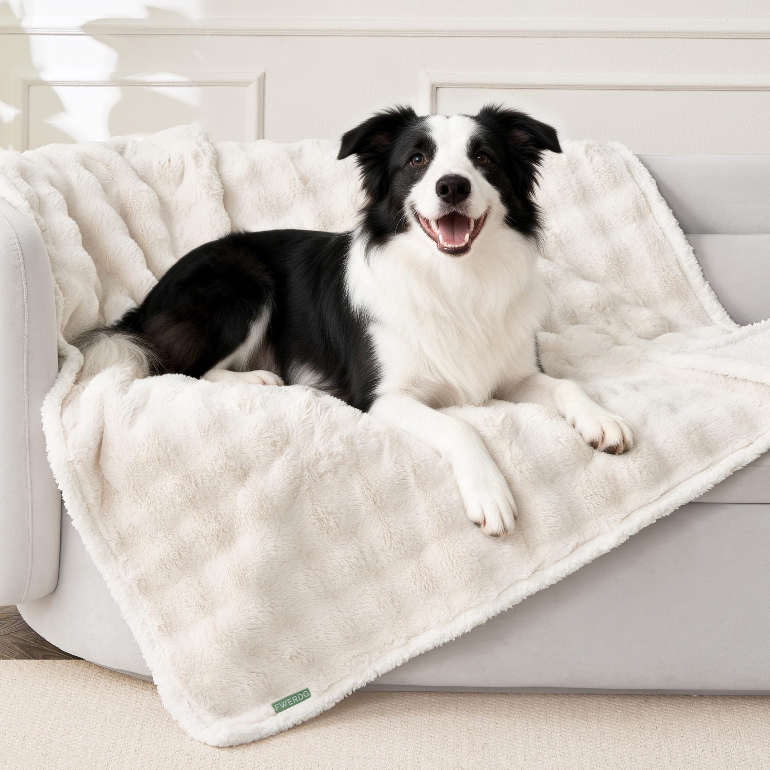 FWERDG dog blanket shown in a full front view.