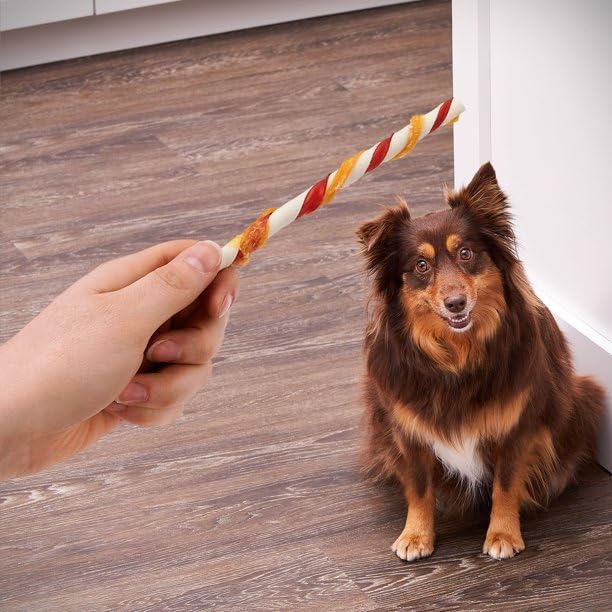 FYNORI Beefhide Twist Sticks with Chicken presented as a chewy dog treat.