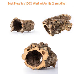 Galápagos Natural Cork Bark placed as a natural habitat feature in an enclosure.