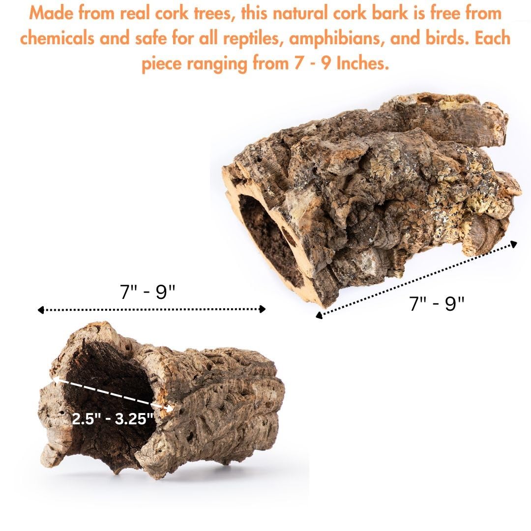 Galápagos Natural Cork Bark close-up showing the rough, textured outer surface.