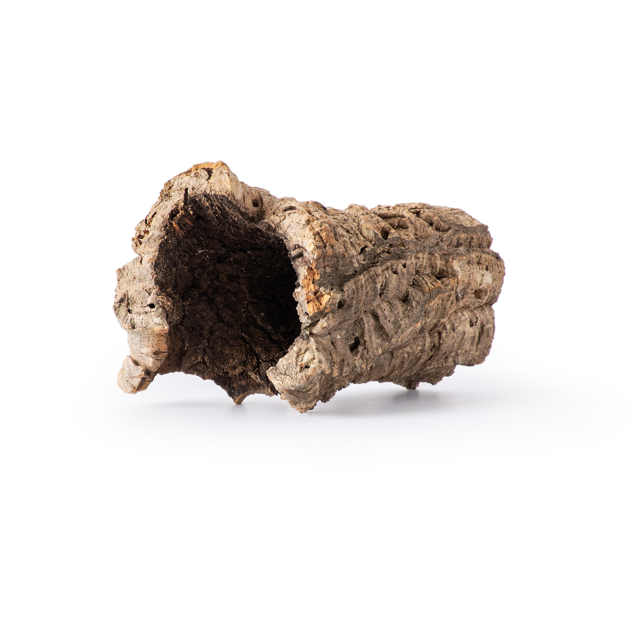 Galápagos Natural Cork Bark tube shown from the front, highlighting its natural form.