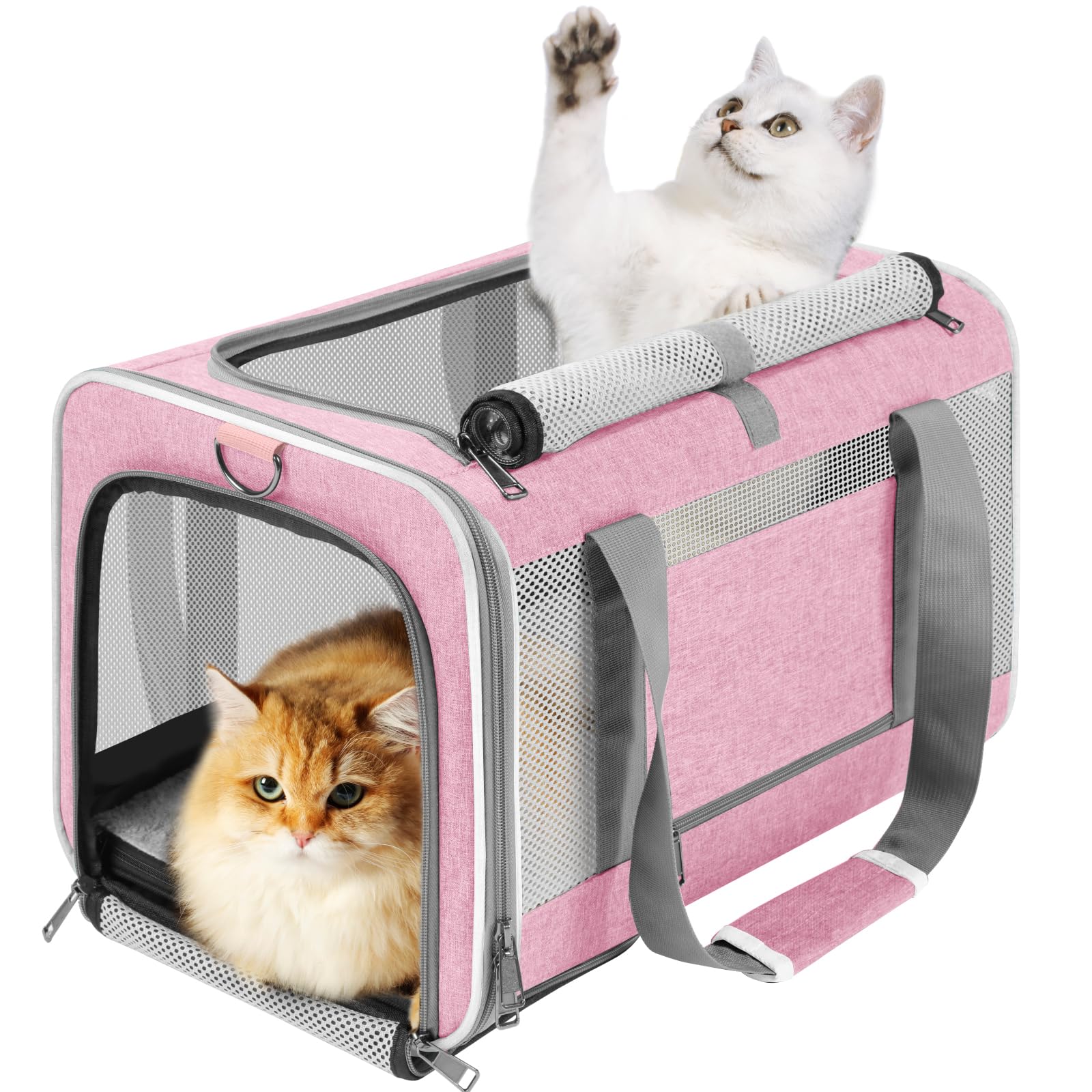 GAPZER large cat carrier shown from the front as a soft collapsible travel bag.