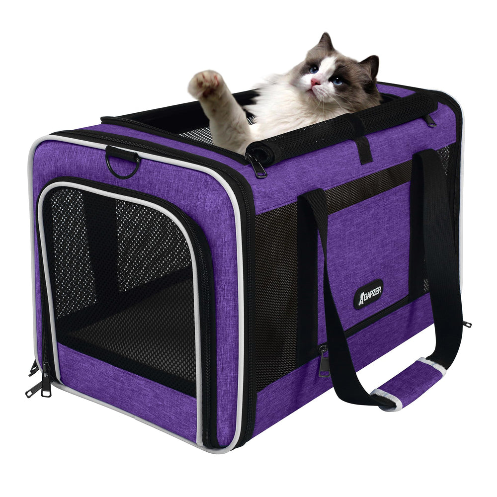 GAPZER pet carrier collapsed flat for storage.