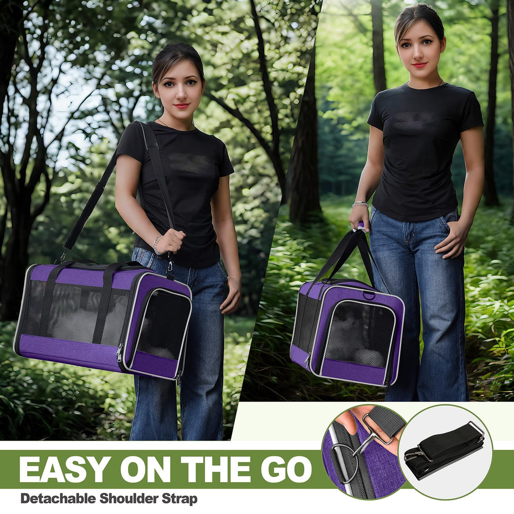 GAPZER pet carrier showing its structured frame.