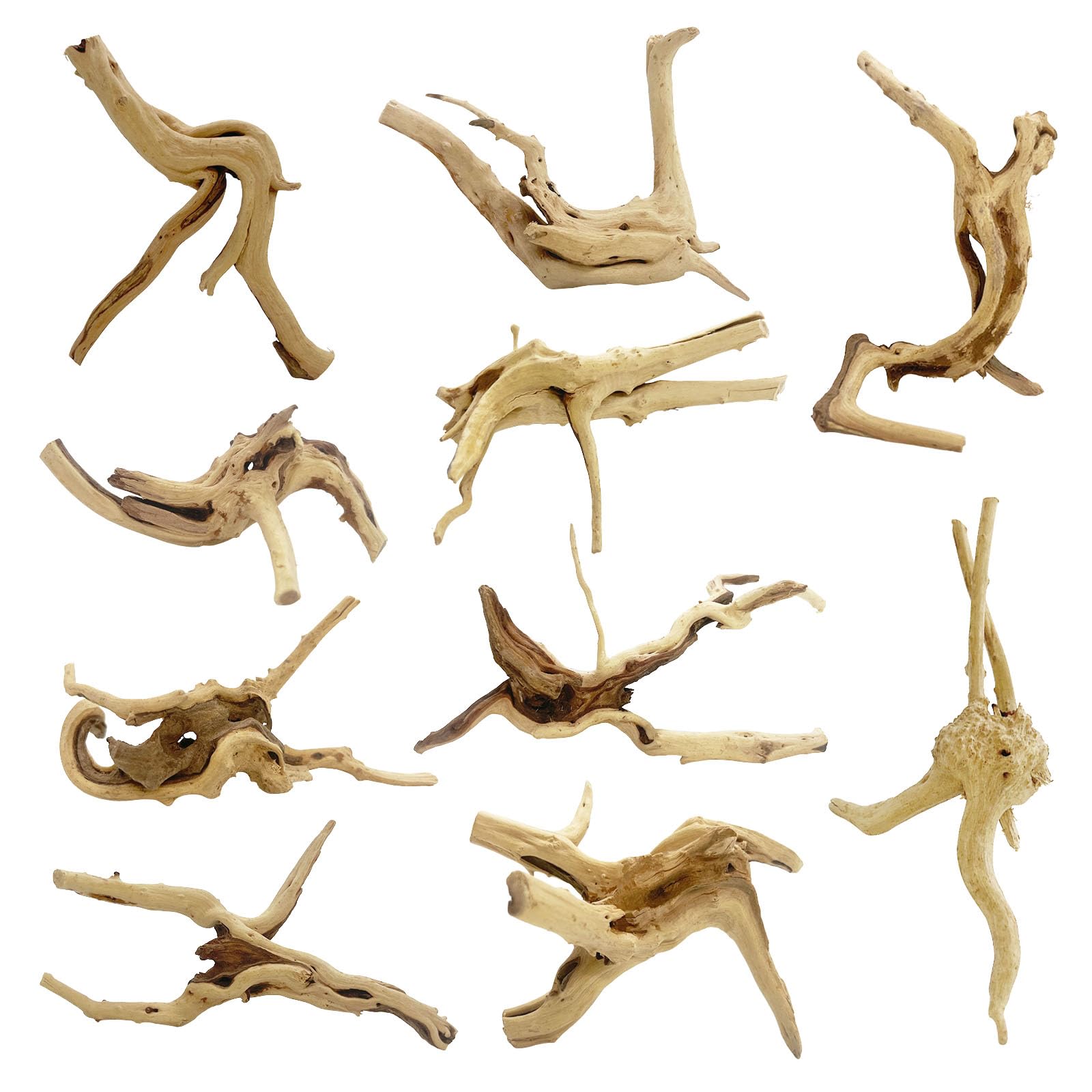 GDMYST spiderwood set showing the natural branches included in the package.