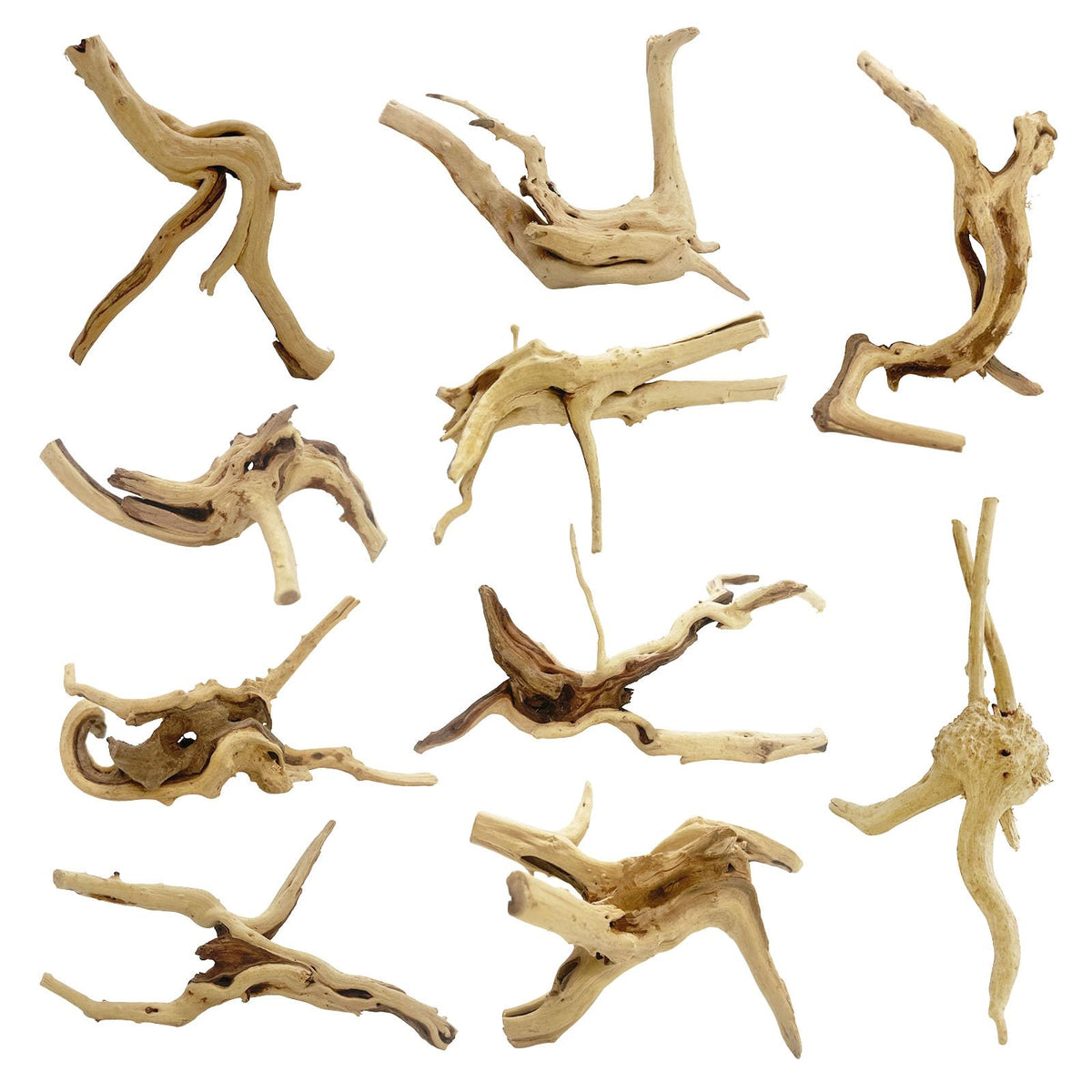 GDMYST spiderwood set showing the natural branches included in the package.