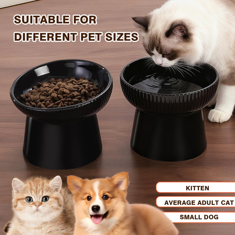 Generic elevated cat bowl close-up showing the ceramic surface.