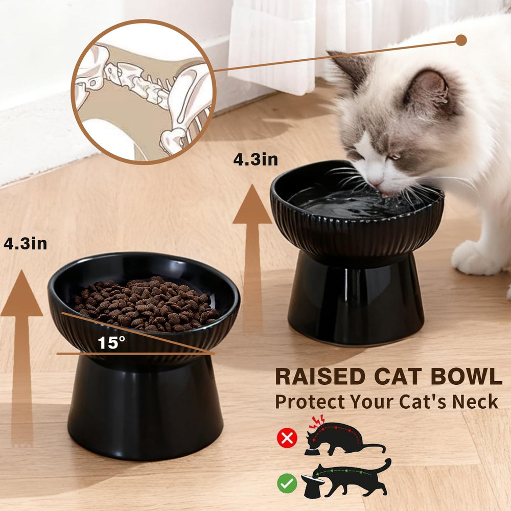 Generic elevated cat bowl viewed from the side to show its tilted profile.