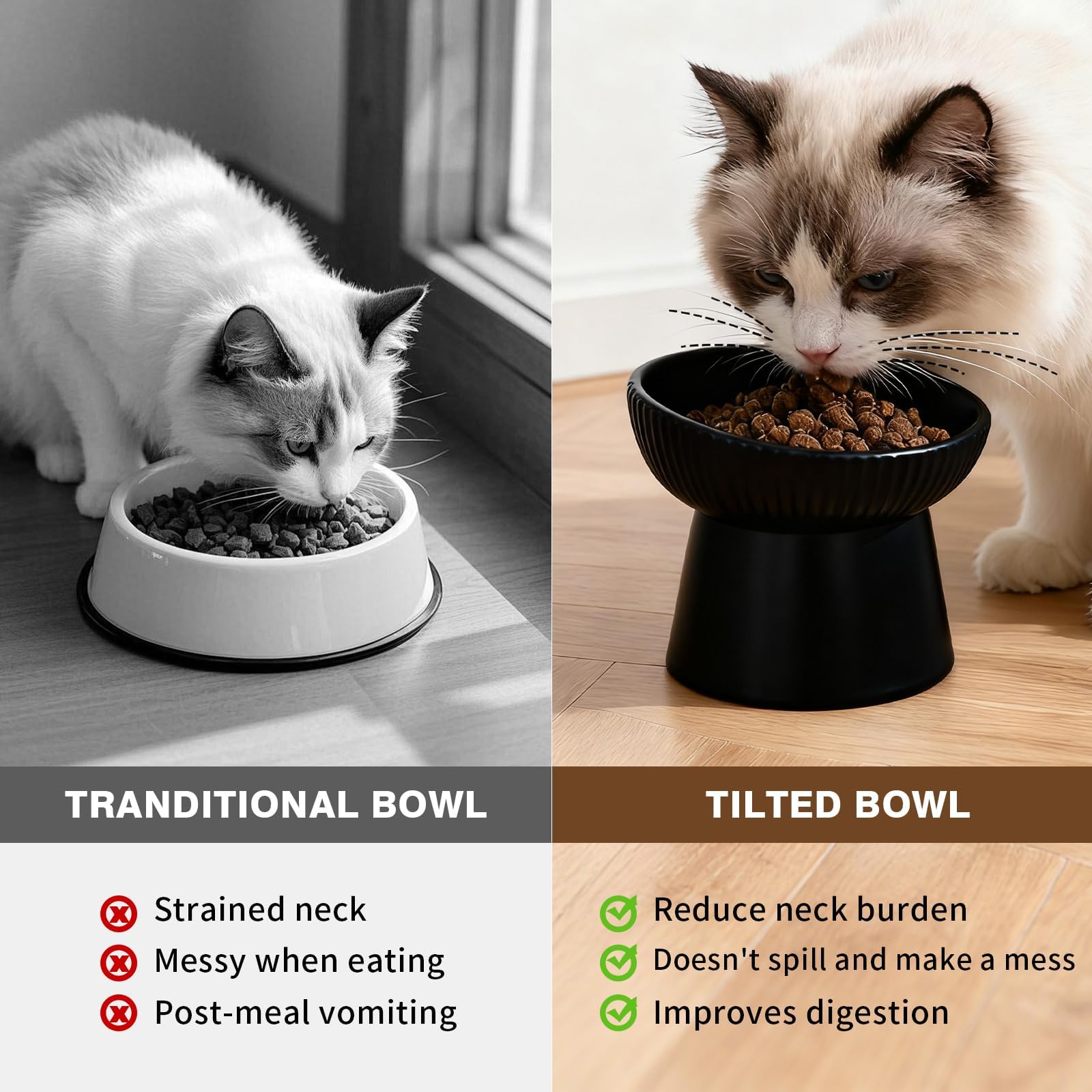 Generic elevated cat bowl shown holding water.