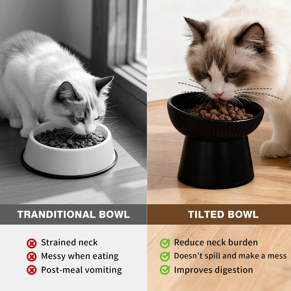 Generic elevated cat bowl shown holding water.