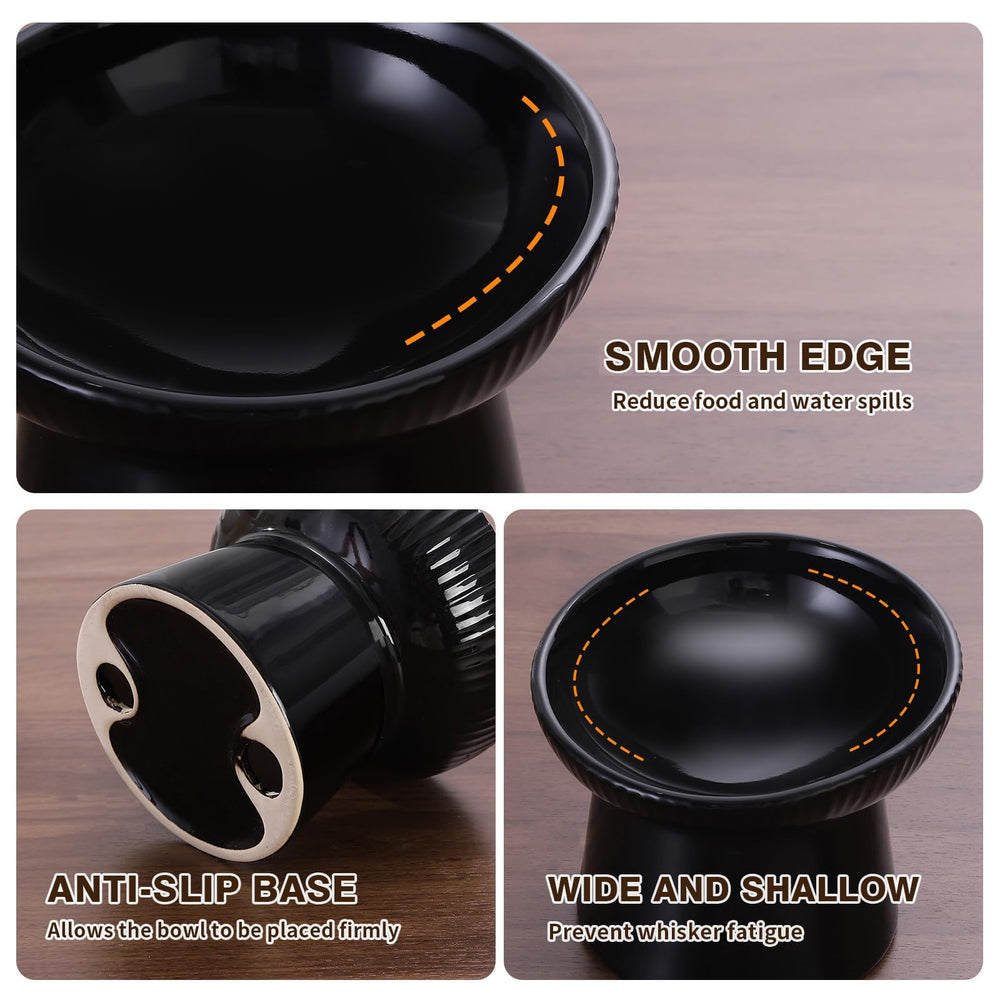 Generic elevated cat bowl close-up showing its wide, shallow eating surface.