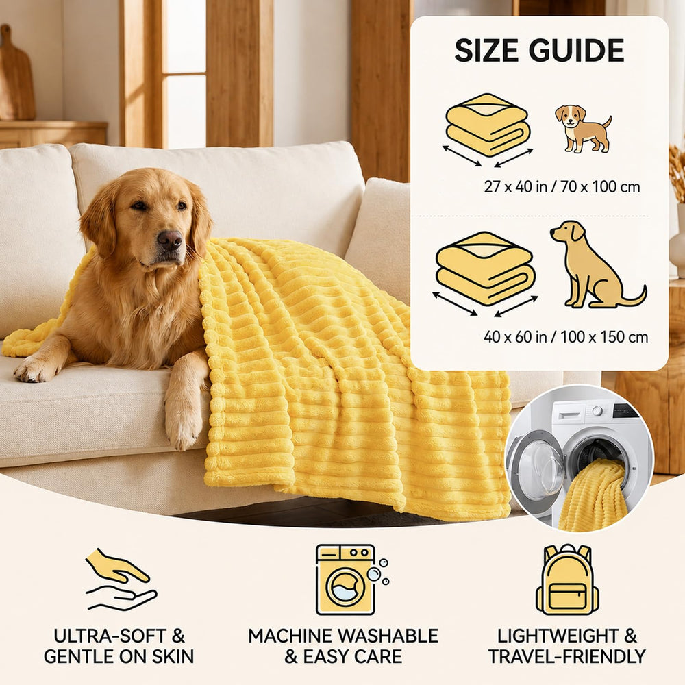 Generic Emotional Support Blanket providing a resting spot for a cat.