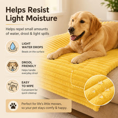Generic Emotional Support Blanket providing a resting spot for a dog.