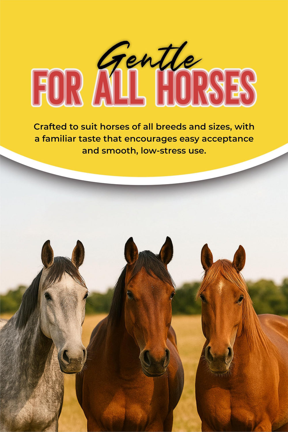 Generic Horse Paste Gel product highlighting its apple flavor.