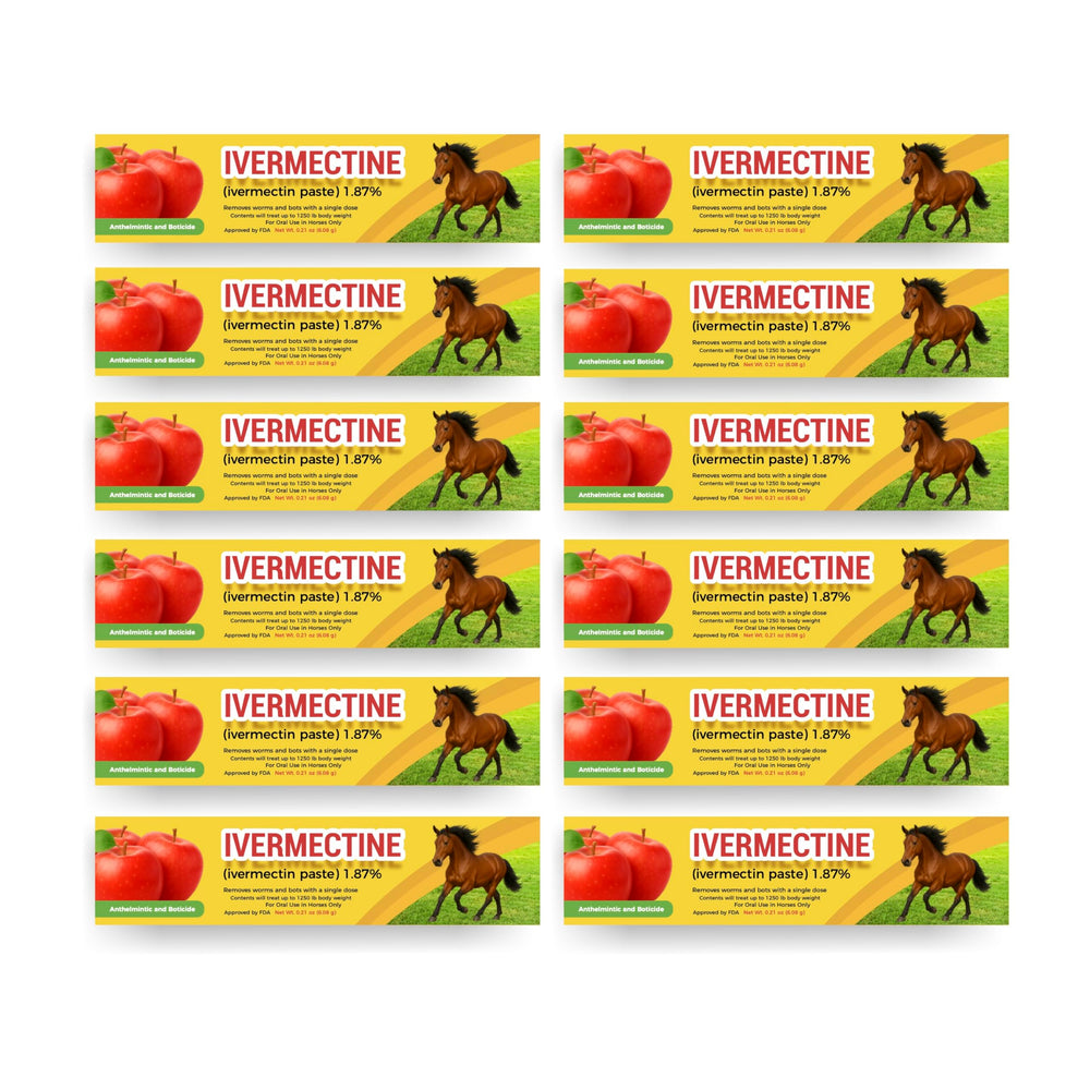 Generic Horse Paste Gel product shown from the front.