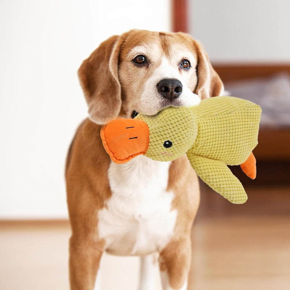 Generic Mellow Dog Calming Duck shown being used for chew play.