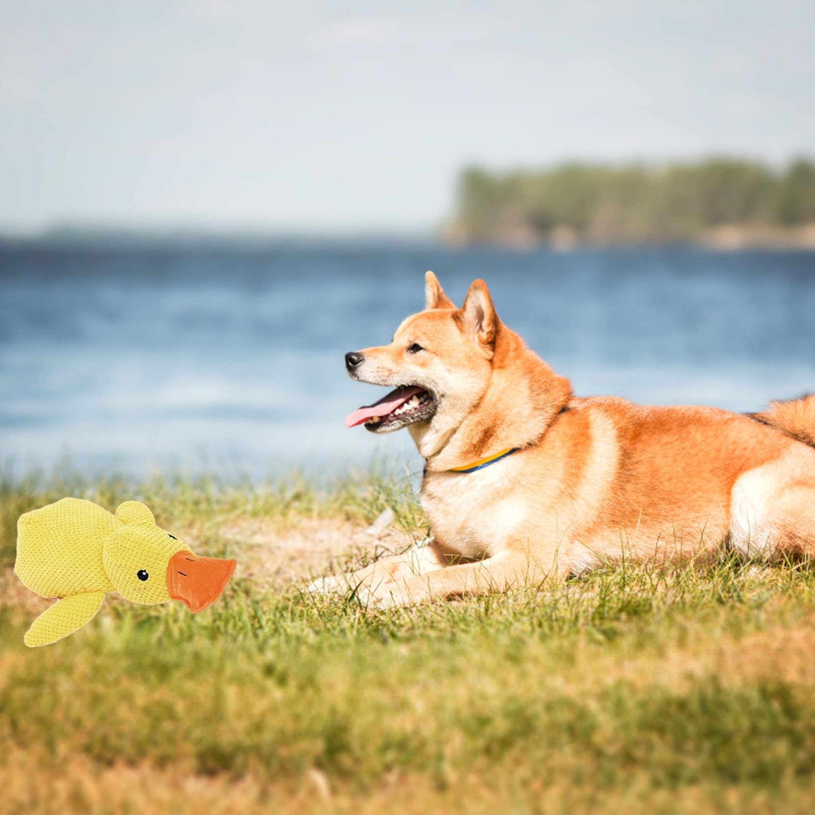 Generic Mellow Dog Calming Duck shown as a cuddling companion.