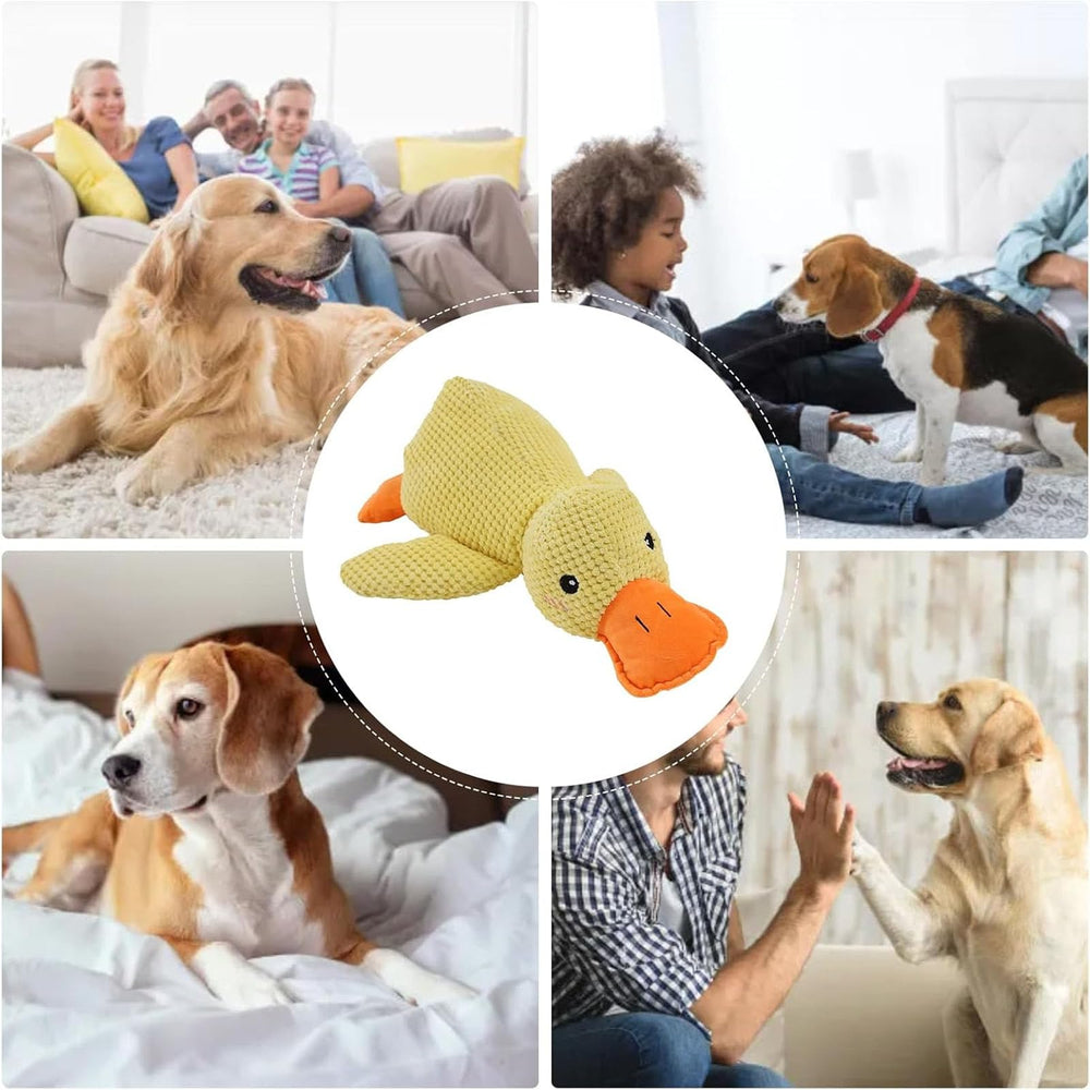 Generic Mellow Dog Calming Duck shown during a chase-and-retrieve game.