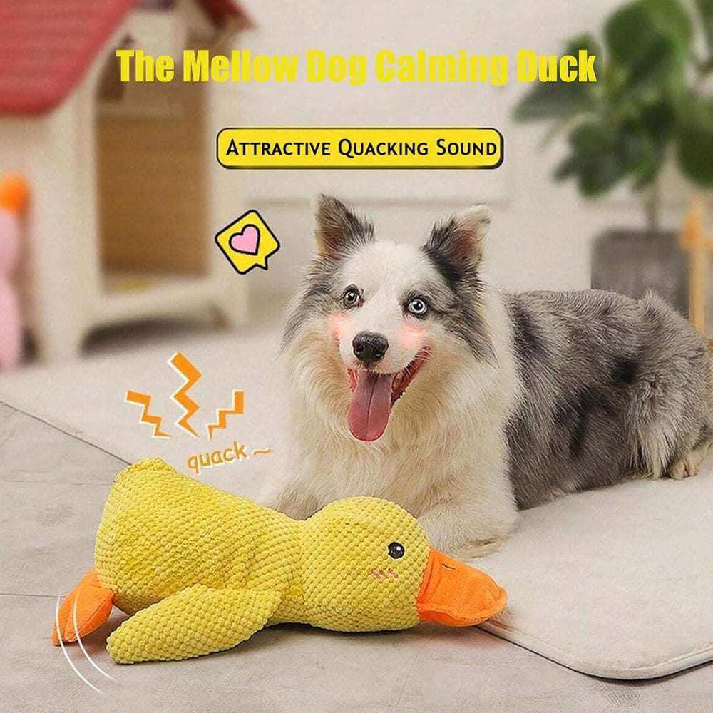 Generic Mellow Dog Calming Duck shown during a tugging game.
