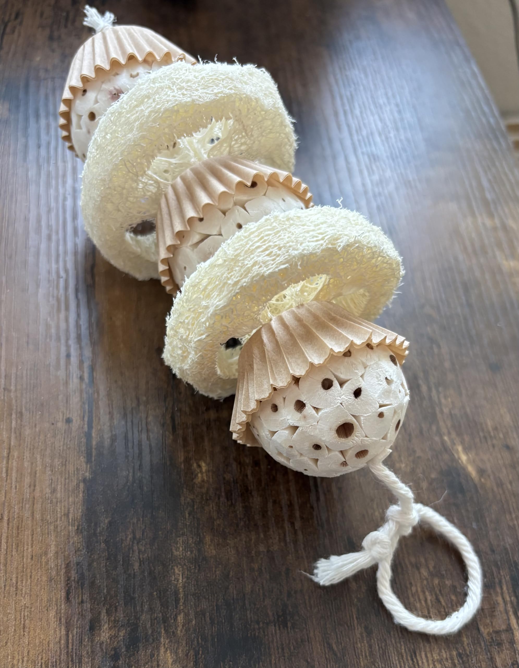 Generic natural bird toy hanging inside a bird cage.