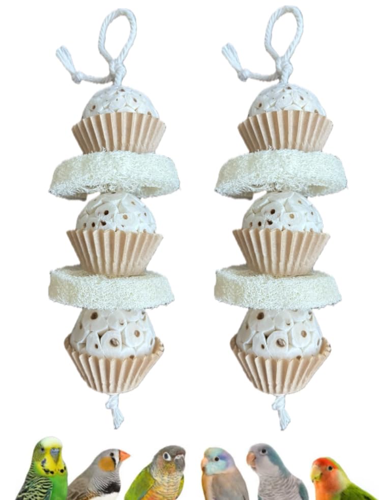 Generic natural bird toy shown from the front with sola balls and loofah slices.
