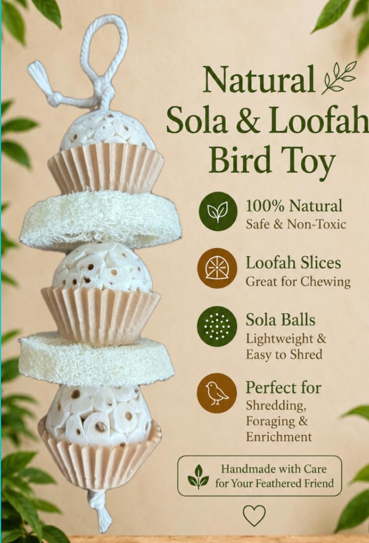 Generic natural bird toy detail highlighting the fibrous loofah slices.