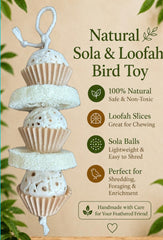 Generic natural bird toy detail highlighting the fibrous loofah slices.