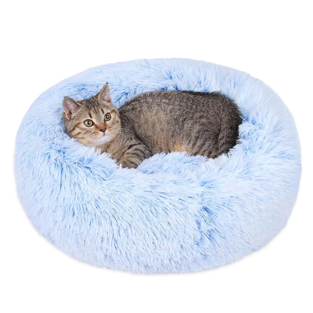 Generic round cat bed shown from the front in cornflower blue.