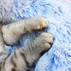 Generic round cat bed shown in use as a curled-up resting spot.