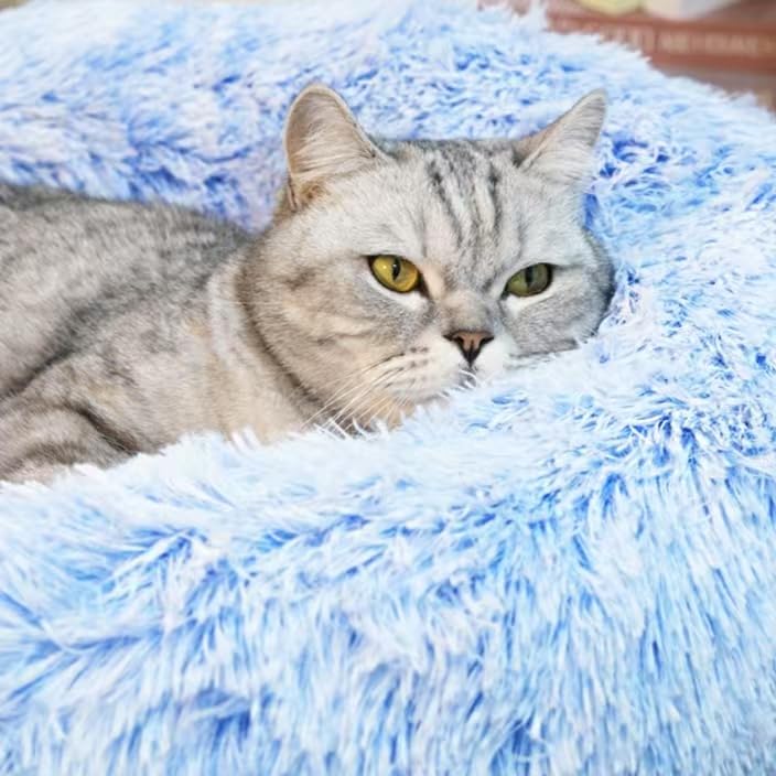 Generic round cat bed showing its raised donut-shaped bolster.