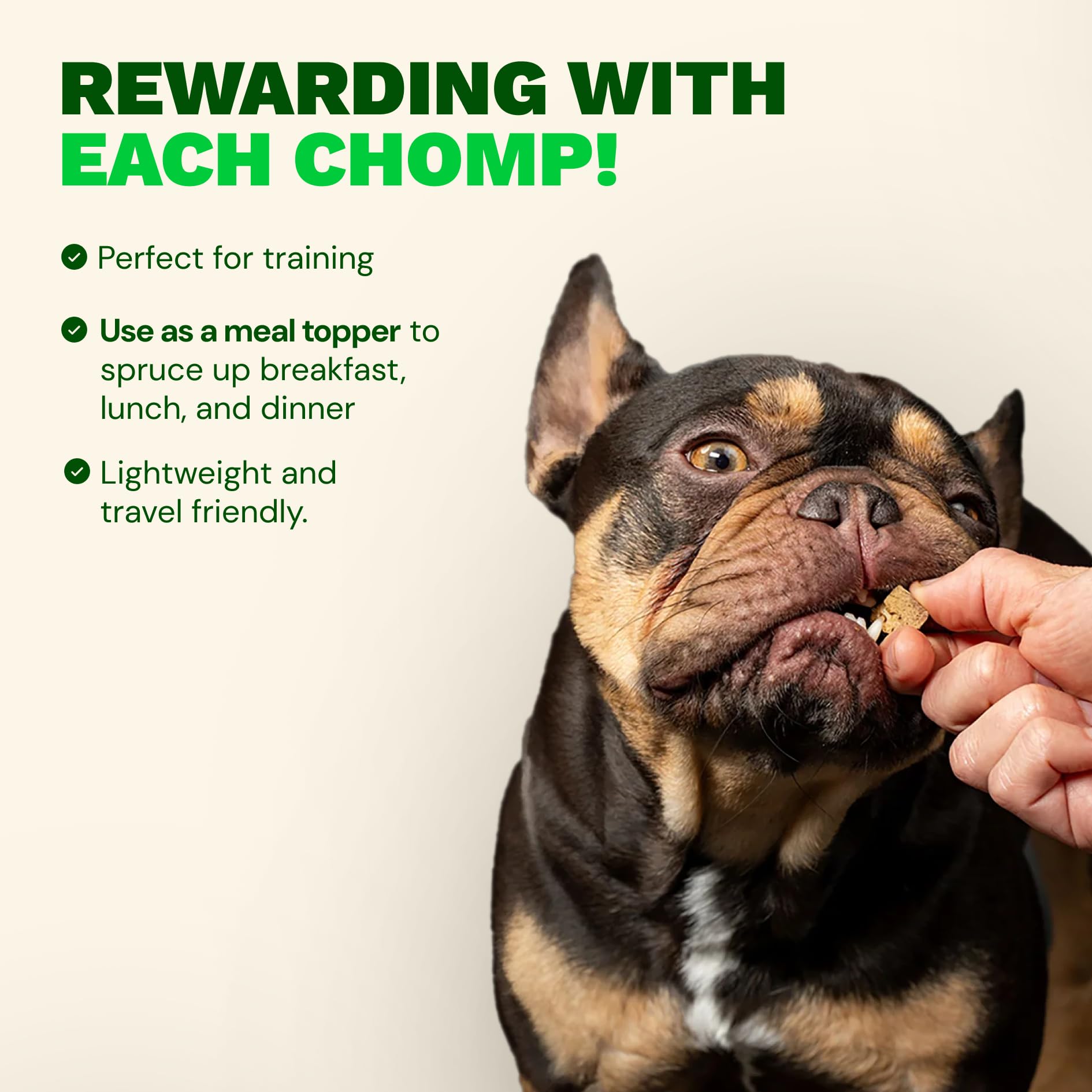 Get Joy beef liver dog treats shown as a reward during training.