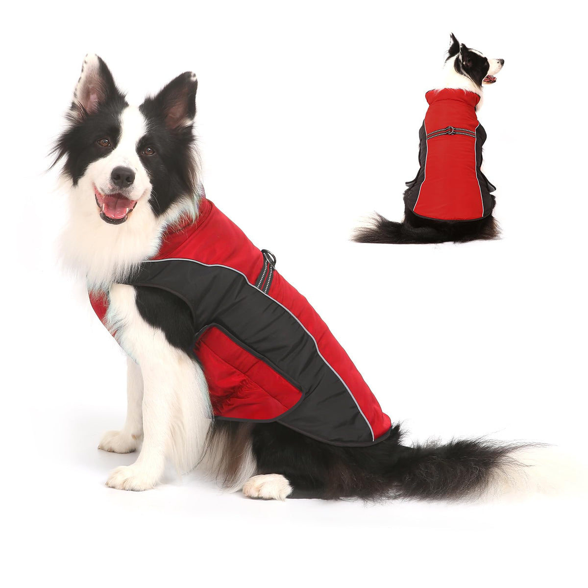 Gimilife Dog Coat shown from the front to display its winter jacket design.