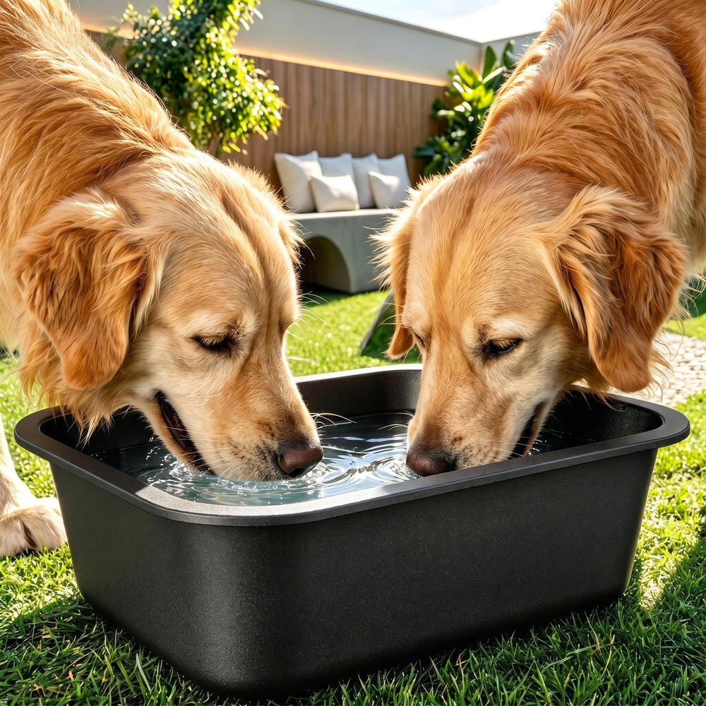 GIXSEGIE stainless steel dog bowl shown being cleaned after feeding.